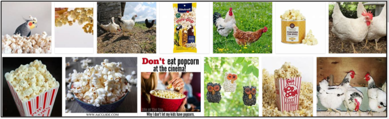 Screenshot1-2-768x236 Can Birds Eat Popcorn? Can Wild Birds Eat Popcorn? ** New  