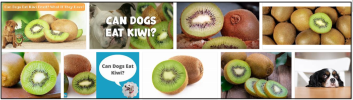 Screenshot1-5-700x200 Can Dogs Eat Kiwi? A Safe Diet For Dog Health ** Updated  