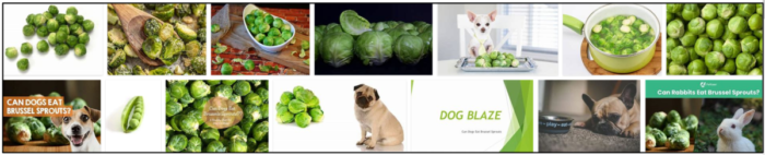 Screenshot1-7-700x142 Can Dogs Eat Brussel Sprouts? What Vitamins and Minerals Are Best For My Dog? ** Updated  