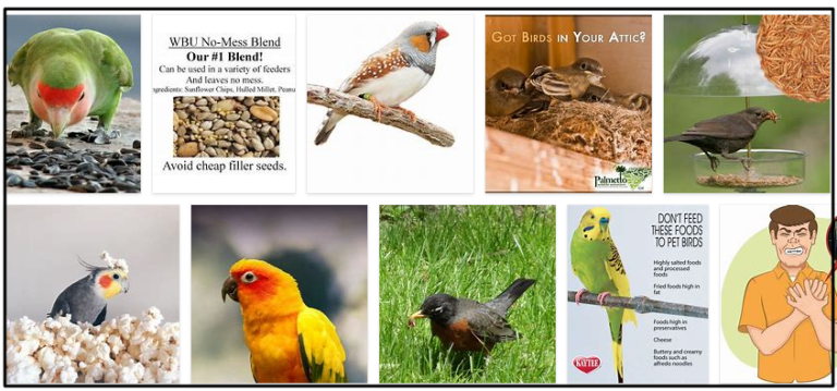 Screenshot1-768x359 Can Birds Eat Flax Seed? Do Birds Like Flax Seed? ** Updated  