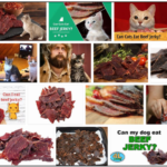 Can-Cats-Eat-Beef-Jerky-150x150 Can Cats Eat Olives? Do Cats Even Like Olives? ** Updated  