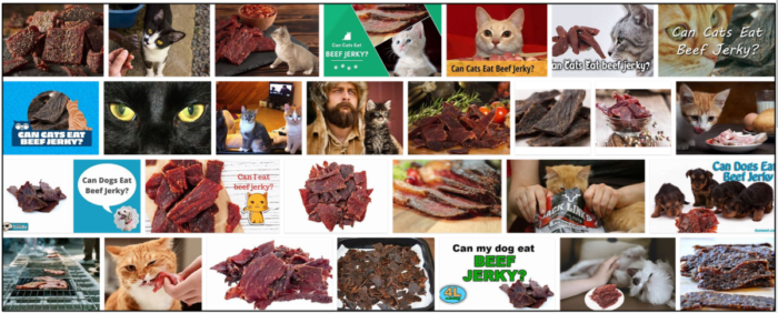 Can-Cats-Eat-Beef-Jerky-700x282 Can Cats Eat Beef Jerky? Find Out the Truth Now ** Updated 