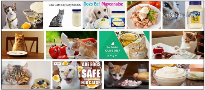 Can-Cats-Eat-Mayonnaise-700x308 Can Cats Eat Mayonnaise? Is It Safe For Them Or Not ** Updated 