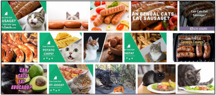 Can-Cats-Eat-Sausage-700x307 Can Cats Eat Sausage? Find Out The Truth Now ** Updated  