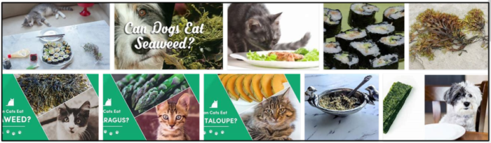Can-Cats-Eat-Seaweed-700x204 Can Cats Eat Seaweed? Will Your Cat Even Enjoy Seaweed ** Updated  