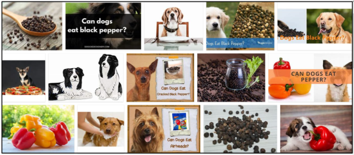 Can-Dogs-Eat-Black-Pepper-700x307 Can Dogs Eat Black Pepper? 4 Tips To Help You Answer That Question ** Updated 