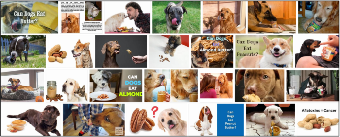 Can-Dogs-Eat-Butter-700x282 Can Dogs Eat Butter? Everything You Need To Know Dogs Health ** New 