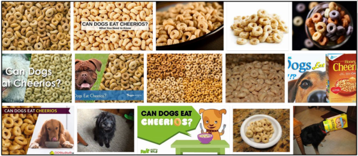 Can-Dogs-Eat-Cheerios-700x306 Can Dogs Eat Cheerios? Is It Toxic For Your Canine Friends ** New 