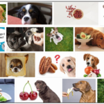 Can-Dogs-Eat-Dates-150x150 Can Dogs Eat Grapefruit? A Clinical Breakdown For The Citrus ** New  
