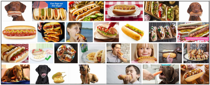 Can-Dogs-Eat-Hot-Dogs-700x283 Can Dogs Eat Hot Dogs? Hot Dog Treats and Nutrition For Dogs ** Updated  