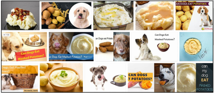 Can-Dogs-Eat-Mashed-Potatoes-700x306 Can Dogs Eat Mashed Potatoes? Find Out The Unbelievable Truth ** Updated 