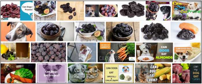 Can-Dogs-Eat-Prunes-700x291 Can Dogs Eat Prunes? Is It Safe For Your Canine Friends ** New  