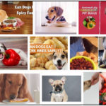 Can-Dogs-Eat-Spicy-Food-150x150 Can Dogs Eat Turkey Bones? Is It Safe For Them Or Not ** Updated 