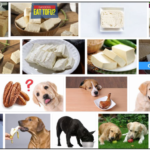 Can-Dogs-Eat-Tofu-150x150 Can Cats Eat Marshmallows? Be Careful Before Feeding Your Cat ** Updated  