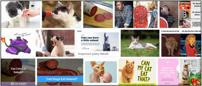 Screenshot-15-700x298 Can Cats Eat Salami? Common Questions And Concerns About Salami ** Updated 