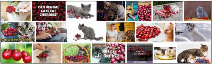 Screenshot-20-700x212 Can Cats Eat Cherries? Do Cats Like Cherries? ** New 