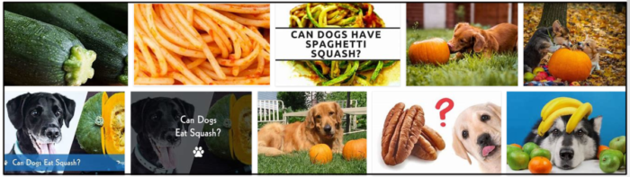 Screenshot-5-700x197 Can Dogs Eat Squash? Find Out the Truth ** Updated  