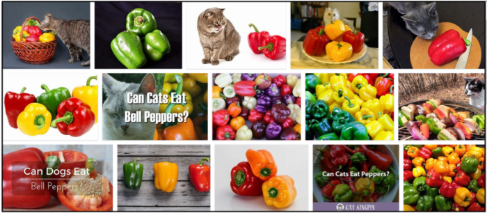 Can-Cats-Eat-Bell-Peppers-700x306 Can Cats Eat Bell Peppers? All The Benefits And Disadvantages ** New  