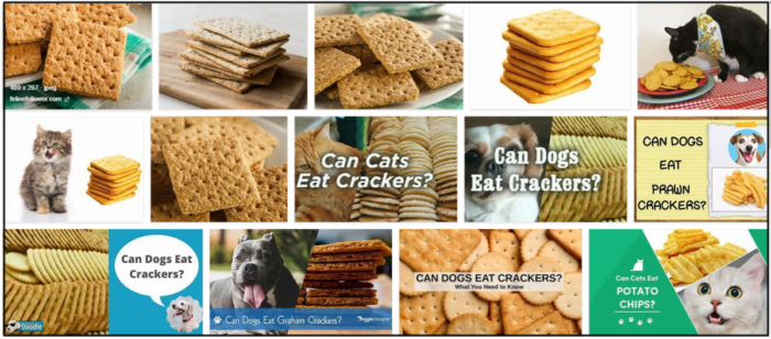 Can-Cats-Eat-Crackers-700x308 Can Cats Eat Crackers? Learn The Unbelievable Truth About It ** New 