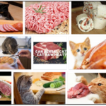 Can-Cats-Eat-Lunch-Meat-150x150 Can Dogs Eat Shrimp Tails? A Great Source To Read Before You Feed ** New  