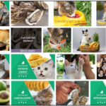 Can-Cats-Eat-Oysters-150x150 Can Cats Eat Smoked Salmon? A Basic Guide to Understanding the Diet of Your Friend ** New  
