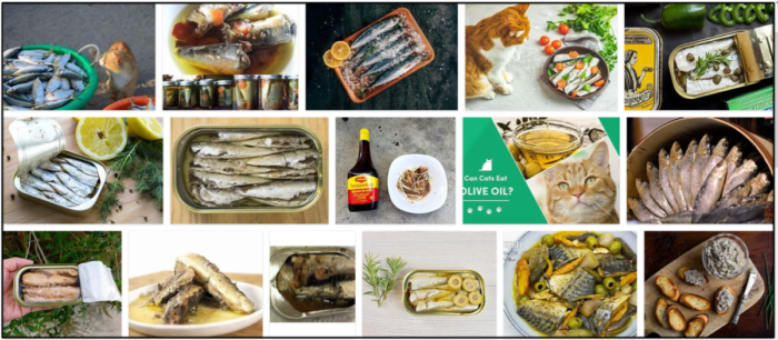 Can-Cats-Eat-Sardines-in-Olive-Oil-700x306 Can Cats Eat Sardines in Olive Oil? How To Watch Out Their Diet ** New  