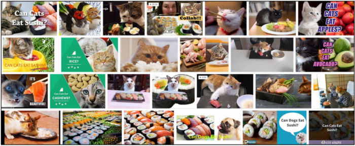 Can-Cats-Eat-Sushi-700x288 Can Cats Eat Sushi? Read The Best Way To Feed Your Friend ** New  