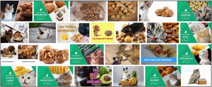 Can-Cats-Eat-Walnuts-700x289 Can Cats Eat Walnuts? Is It Good For Them Or Not ** New  