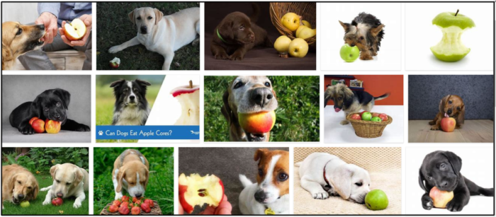 Can-Dogs-Eat-Apple-Cores-700x307 Can Dogs Eat Apple Cores? How To Avoid A Possible Malnutrition ** New 