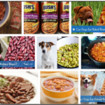 Can-Dogs-Eat-Baked-Beans-150x150 Can Dogs Eat Pineapples? Everything You Need To Know ** New  