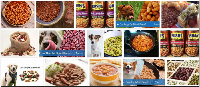 Can-Dogs-Eat-Baked-Beans-700x307 Can Dogs Eat Baked Beans? Take A Look At Our Expert Advice ** New  