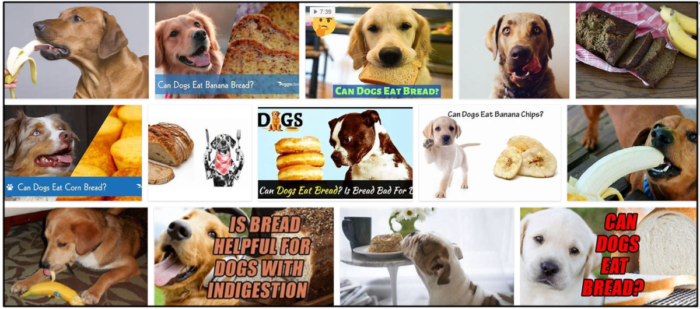 Can-Dogs-Eat-Banana-Bread-700x309 Can Dogs Eat Banana Bread? How To Avoid A Possible Malnutrition ** New  