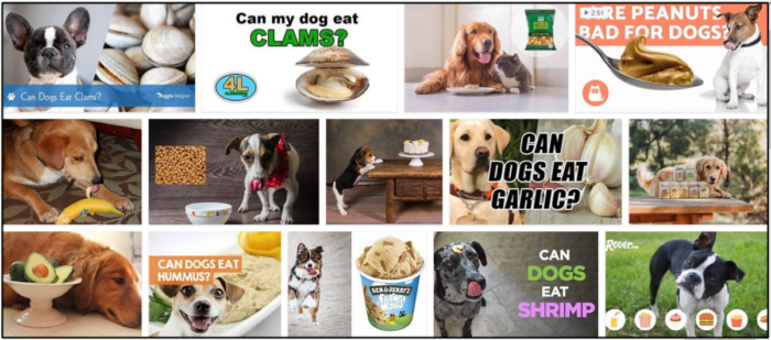 Can-Dogs-Eat-Clams-700x309 Can Dogs Eat Clams? Is It Good For Them Or Not ** New 