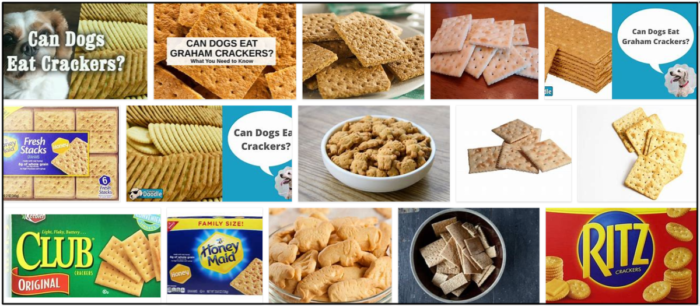 Can-Dogs-Eat-Crackers-700x306 Can Dogs Eat Crackers? All The Benefits And Disadvantages ** New  