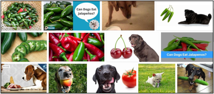 Can-Dogs-Eat-Jalapenos-700x307 Can Dogs Eat Jalapenos? A Great Source To Read Before You Feed ** Updated 