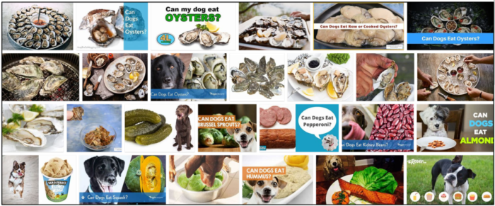 Can-Dogs-Eat-Oysters-700x291 Can Dogs Eat Oysters? How To Watch Out Their Diet ** New  