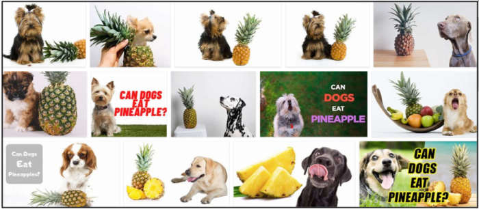 Can-Dogs-Eat-Pineapples-700x306 Can Dogs Eat Pineapples? Everything You Need To Know ** New 