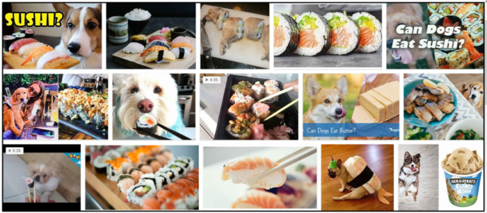 Can-Dogs-Eat-Sushi-700x307 Can Dogs Eat Sushi? Don't Feed Them Before You Read It ** New  