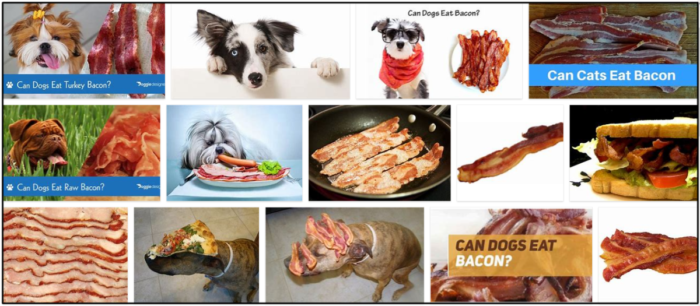 Can-Dogs-Eat-Turkey-Bacon-700x306 Can Dogs Eat Turkey Bacon? Answers To All Of Your Questions For A Healthy Diet ** New  