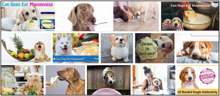 02-Can-Dogs-Eat-Mayonnaise-768x337 Can Dogs Eat Mayonnaise? Answers To All Of Your Questions For A Healthy Diet ** New  