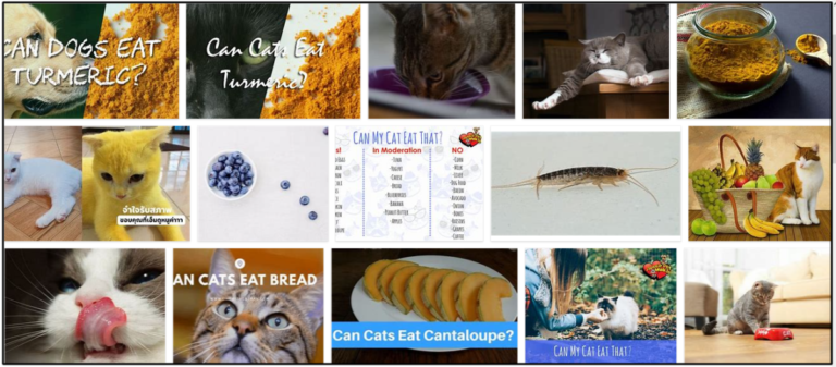 03-Can-Cats-Eat-Turmeric-768x337 Can Cats Eat Turmeric? Learn The Unbelievable Truth About It ** New  