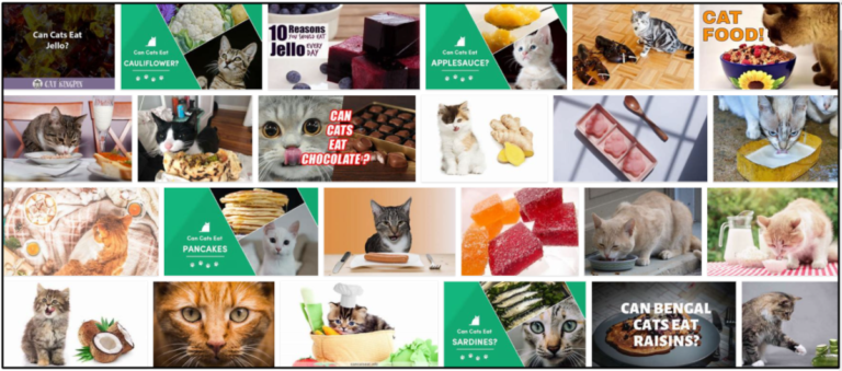 06-Can-Cats-Eat-Jello-768x339 Can Cats Eat Jello? The Best Approach To Feed Your Friend ** New  