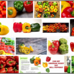 09-Can-Dogs-Eat-Red-Bell-Peppers-150x150 Can Cats Eat Soy? Here's All You Need To Know About It ** New 