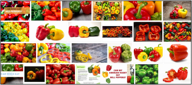 09-Can-Dogs-Eat-Red-Bell-Peppers-768x339 Can Dogs Eat Red Bell Peppers? Is It Safe For Them Or Not ** New  