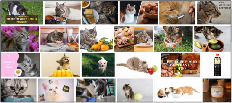 10-Can-Cats-Eat-Soy-768x342 Can Cats Eat Soy? Here's All You Need To Know About It ** New  