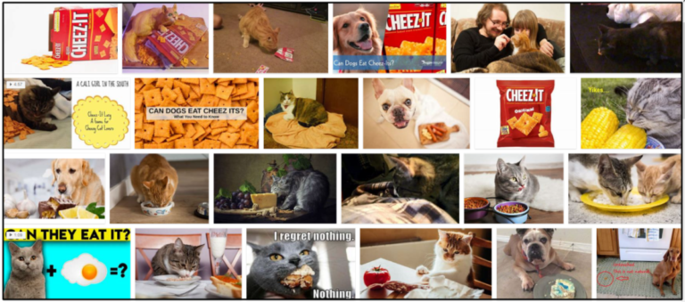 11-Can-Cats-Eat-Cheez-Its-768x339 Can Cats Eat Cheez-Its? Everything You Need To Know ** New  