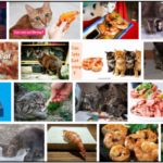 12-Can-Cats-Eat-Cooked-Shrimp-150x150 Can Dogs Eat Bok Choy? Read The Best Way To Feed Your Friend ** New  