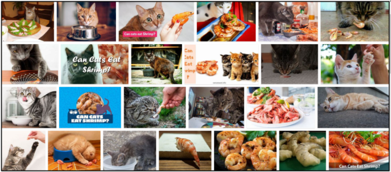 12-Can-Cats-Eat-Cooked-Shrimp-768x339 Can Cats Eat Cooked Shrimp? Vital Facts You Must Learn About ** New  