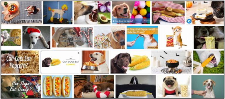 12-Can-Dogs-Eat-Candy-Corn-768x338 Can Dogs Eat Candy Corn? How To Watch Out Their Diet ** New  