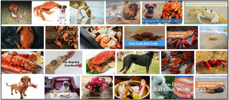 13-Can-Dogs-Eat-Crab-Meat-768x337 Can Dogs Eat Crab Meat? Learn How To Feed Your Pet Accurately ** New  